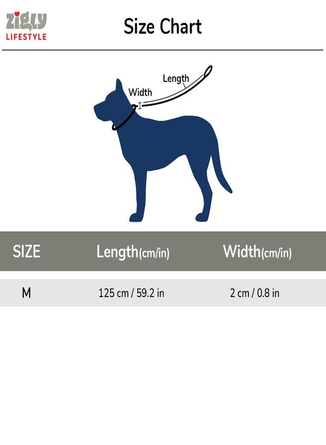 Zigly Lifestyle Doodle Dog Leash-Blue | Durable Long Leash for Dogs | Comfortable Grip, Stylish Printed Ltraining Leash for Daily Walks - Image 4